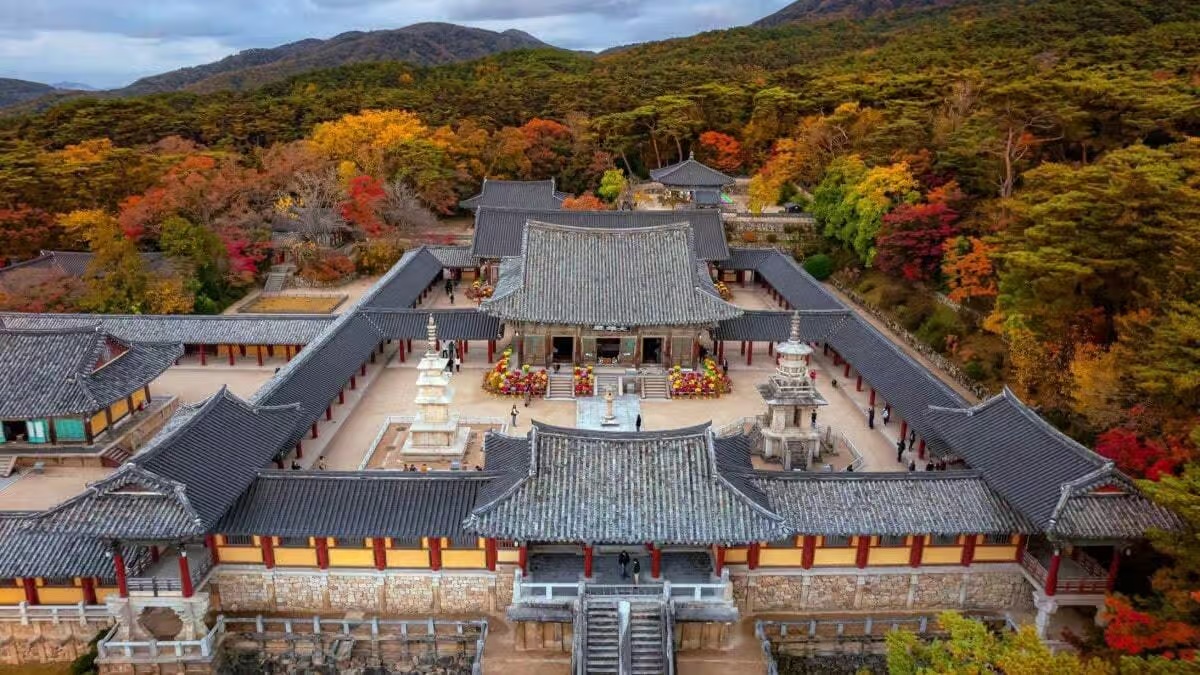 꽁머니카지노를 이용한 안전한 온라인 카지노 게임 방법